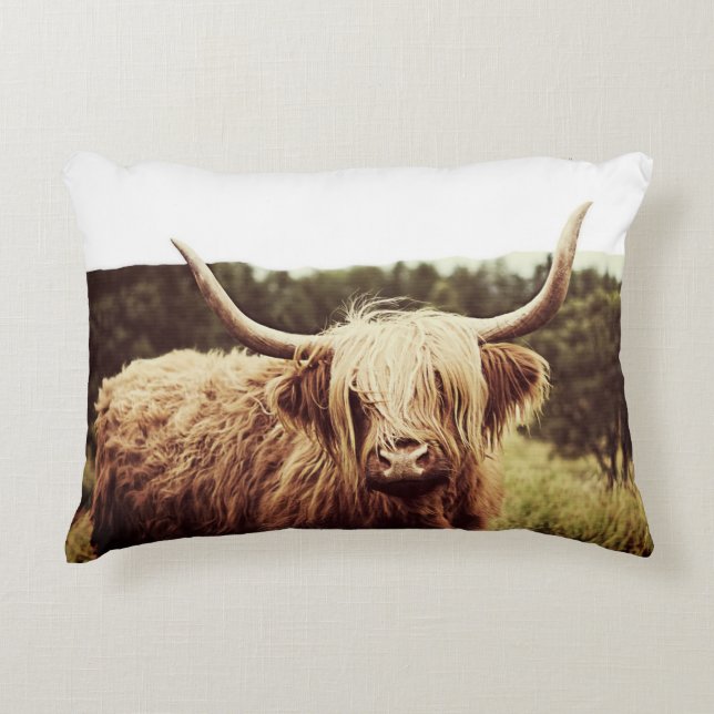Scottish Highland Long Haired Cow Accent Pillow (Front)