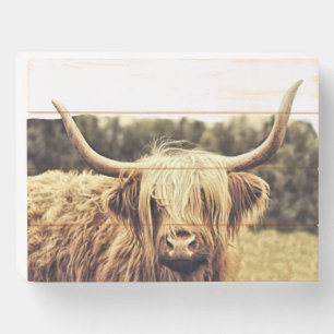 Scottish Highland Long Haired Cow Wooden Box Sign