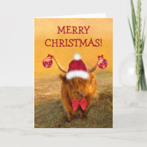 Scottish Highland Steer Christmas Fun Holiday Card