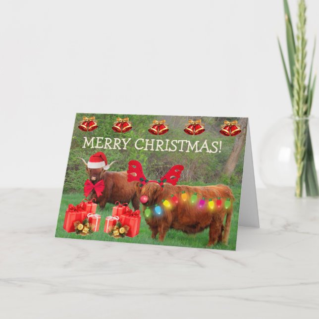 Scottish Highland Steer Funny Christmas Holiday Card (Front)