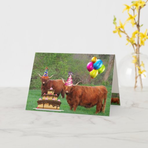 Scottish Highland Steer Party Birthday Card | Zazzle