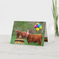 Scottish Highland Steer Party Birthday Card