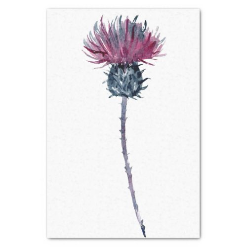 Scottish Highland Thistle Watercolor Tissue Paper