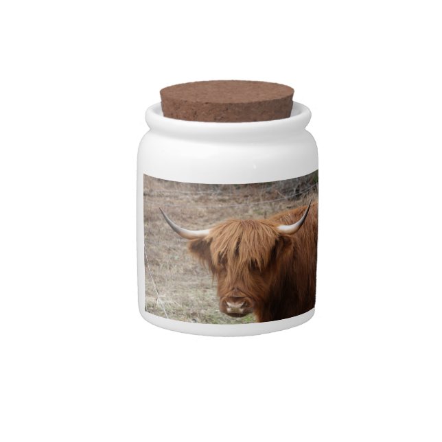 Scottish Highlander Candy Jar (Front)