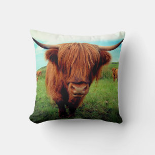 Scottish Highlander Cow Throw Pillow