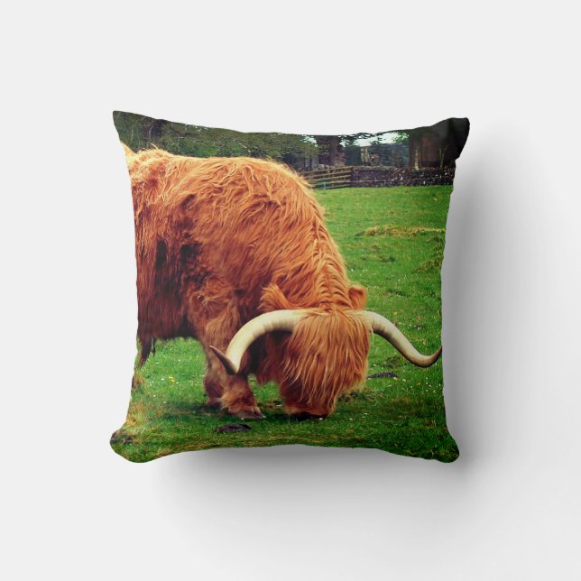 Scottish Highlander Cow Throw Pillow (Front)
