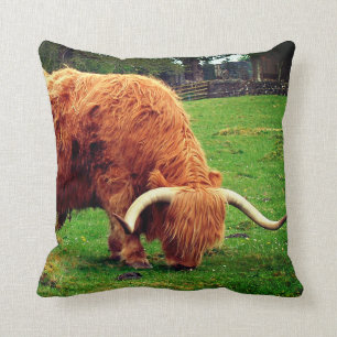 Scottish Highlander Cow Throw Pillow