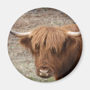 Scottish Highlander Magnet