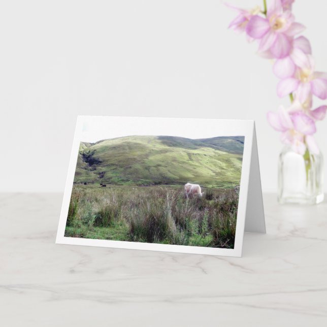 Scottish Highlands Landscape Card (Orchid)