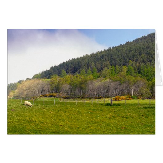 Scottish Highlands landscape Cards (Front Horizontal)