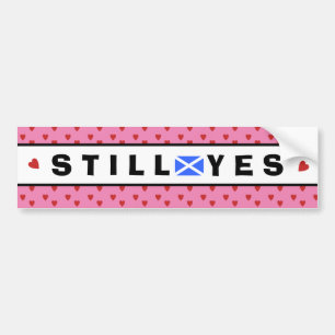 Scottish Independence Pink Still Yes Bumper Sticker