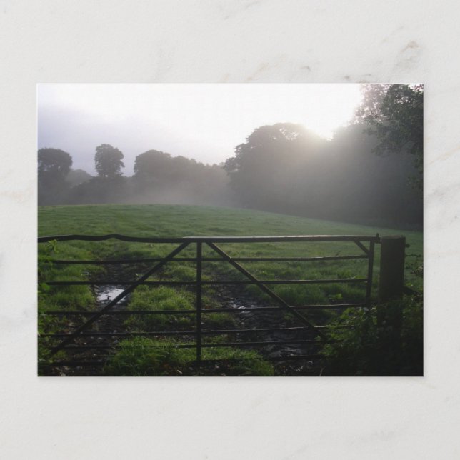 Scottish morning dew postcard (Front)