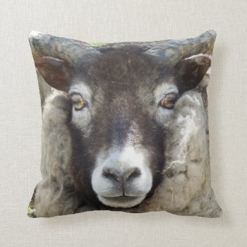Scottish Sheep Throw Pillow by WackemArt at Zazzle