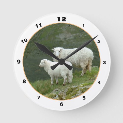 Scottish Sheep  Wool Farmers Highlands Scotland Round Clock