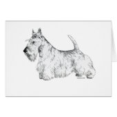 Scottish Terrier (Front Horizontal)