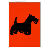 Scottish Terrier (Front)