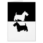 scottish terrier (Front)