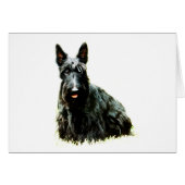 Scottish Terrier (Front Horizontal)
