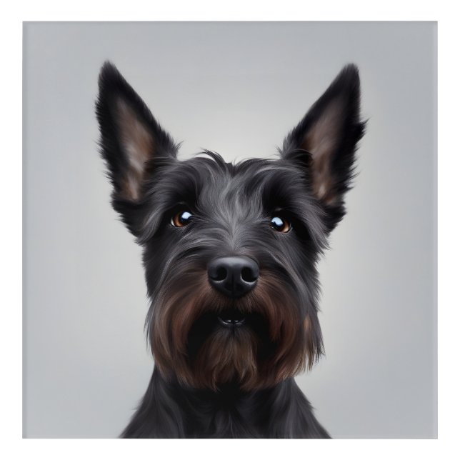 Scottish Terrier Acrylic Print (Front)