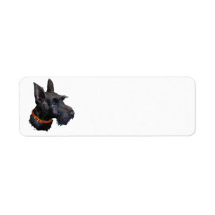 Scottish Terrier Address Label