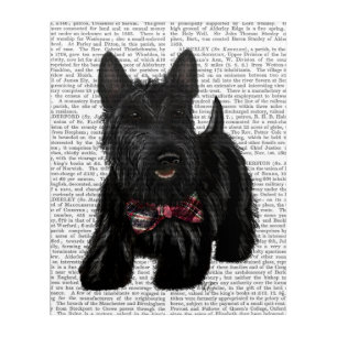 Scottish Terrier and Bow Acrylic Print