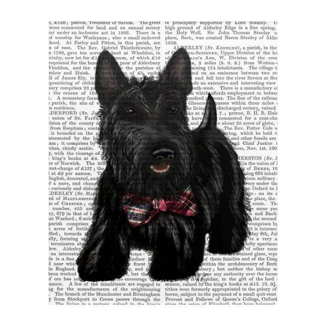 Scottish Terrier and Bow Acrylic Print (Front)