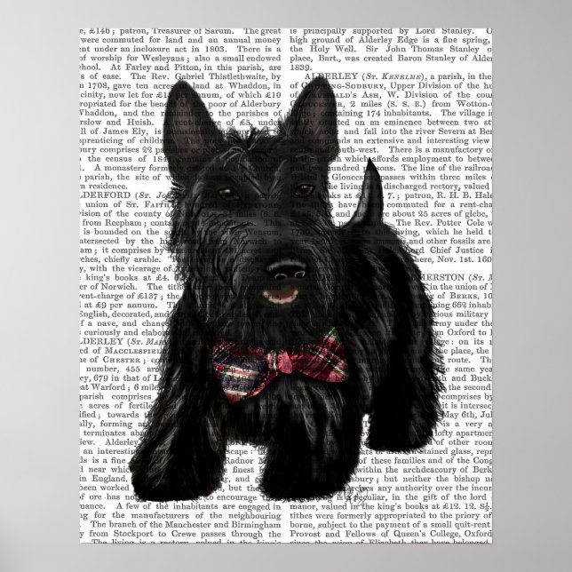 Scottish Terrier and Bow Poster (Front)