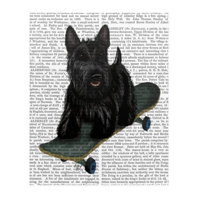 Scottish Terrier and Skateboard Acrylic Print (Front)