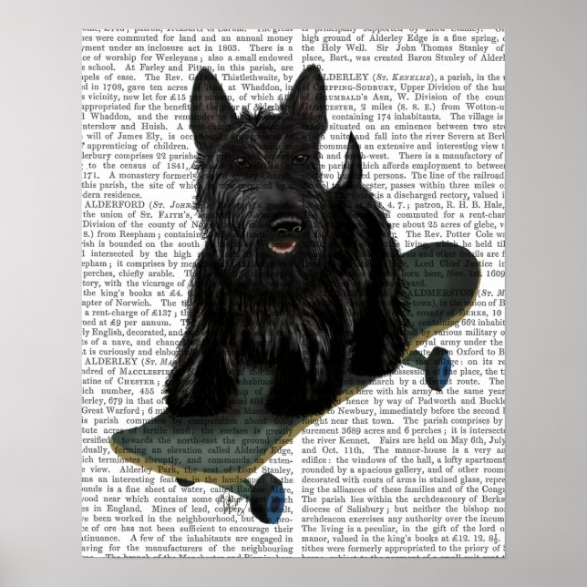Scottish Terrier and Skateboard Poster (Front)