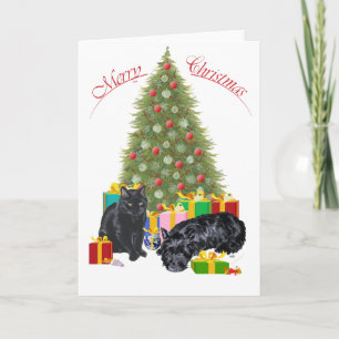 Scottish Terrier & Black Cat Christmas Holiday Card
