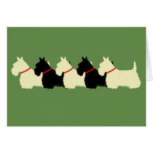 Scottish Terrier black/wheaten silhouette blank Cards