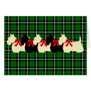 Scottish Terrier black/wheaten silhouette blank Cards