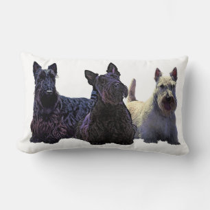 Scottish Terrier black/wheaten trio, black dog Lumbar Pillow