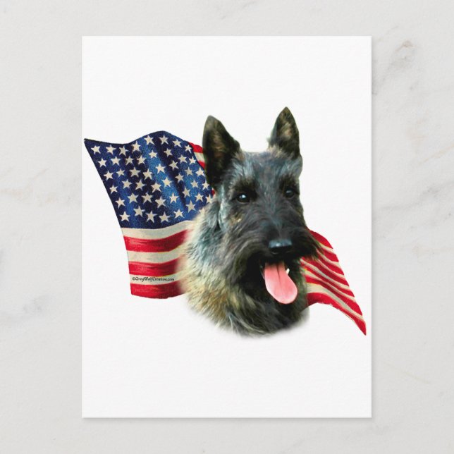 Scottish Terrier (brindle) Flag Postcard (Front)