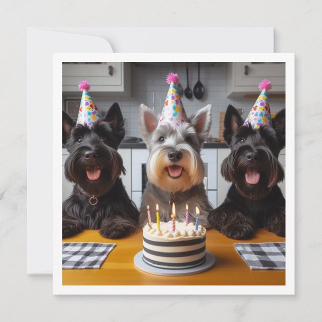 Scottish terrier card, Scottish terrier birthday Invitation (Front)