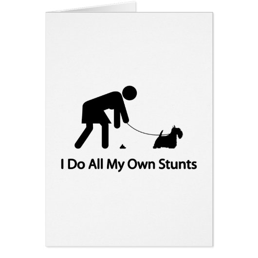 Scottish Terrier Cards (Front)