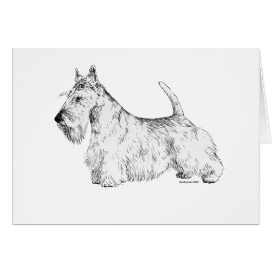 Scottish Terrier Cards (Front Horizontal)