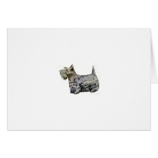 Scottish Terrier Cards (Front Horizontal)