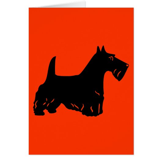 Scottish Terrier Cards (Front)