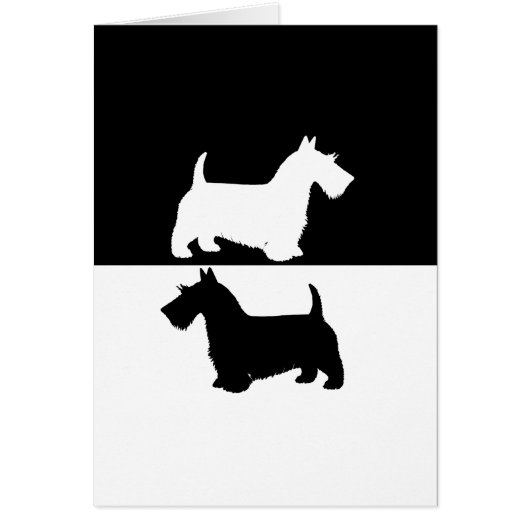 scottish terrier cards (Front)