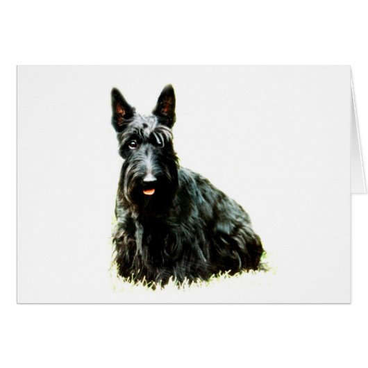 Scottish Terrier Cards (Front Horizontal)