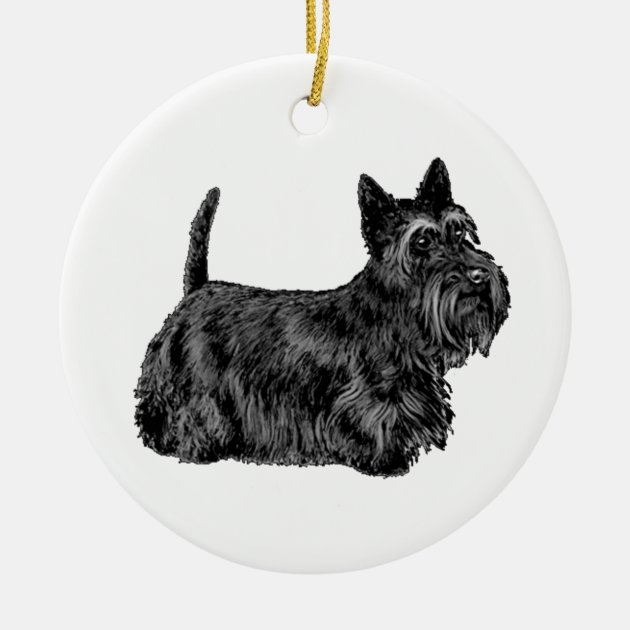 a scottie dog