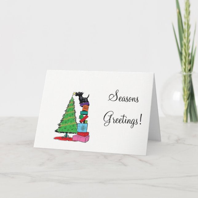 Scottish Terrier Christmas Card (Front)