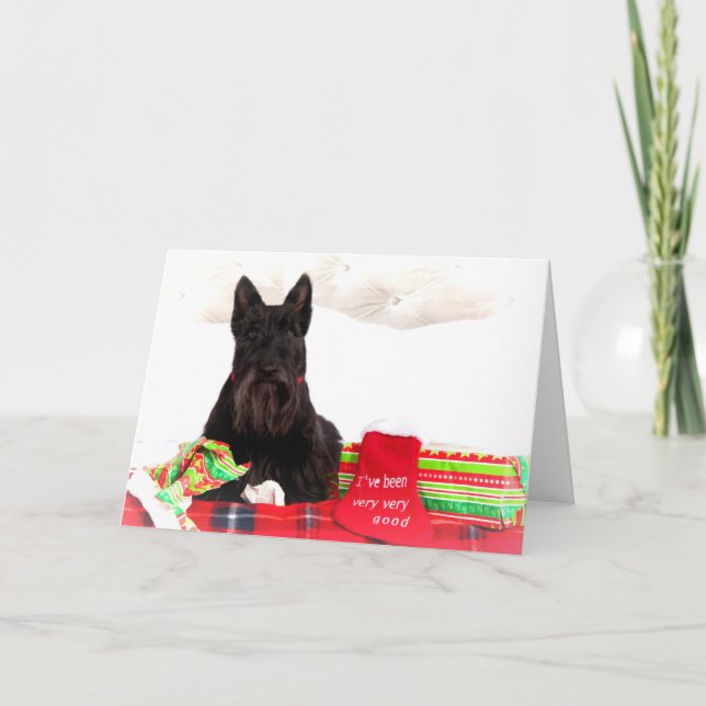 Scottish Terrier Christmas Card (Front)