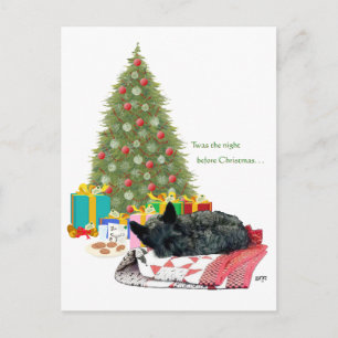 Scottish Terrier Christmas Nap Holiday Postcard