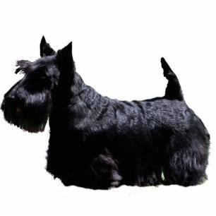 Scottish Terrier Cutout