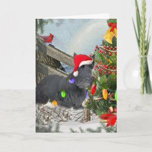 Scottish Terrier Decorates Christmas tree Holiday Card