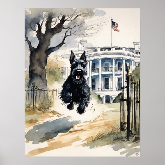 Scottish Terrier - Dog Art Print (Front)