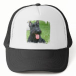 Scottish Terrier Dog Baseball Hat