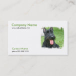 Scottish Terrier Dog Business Card